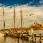 - Museumshafen Kappeln 2 -