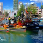 Museumshafen Rotterdam