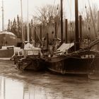 Museumshafen Wischhafen ...