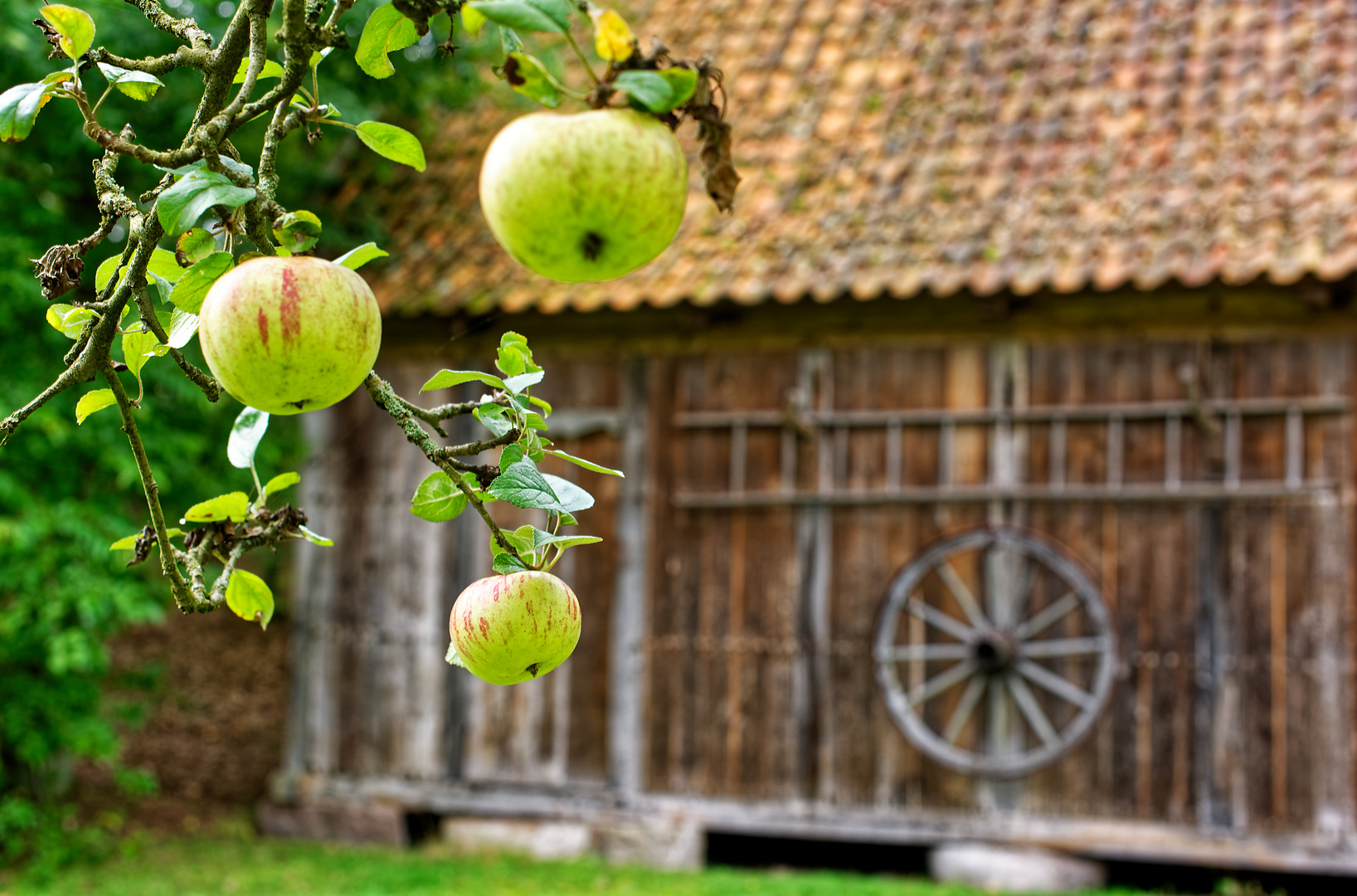 Museumshof in Winsen / Aller