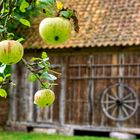 Museumshof in Winsen / Aller