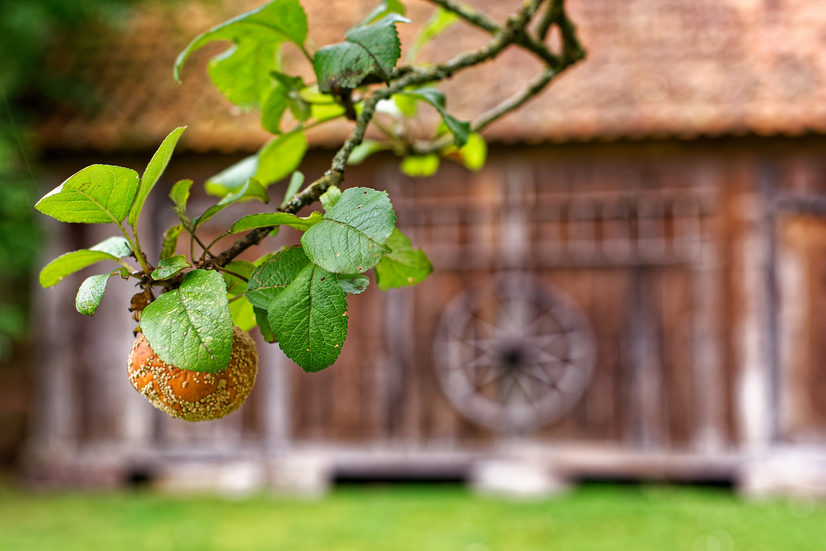 Museumshof in Winsen / Aller