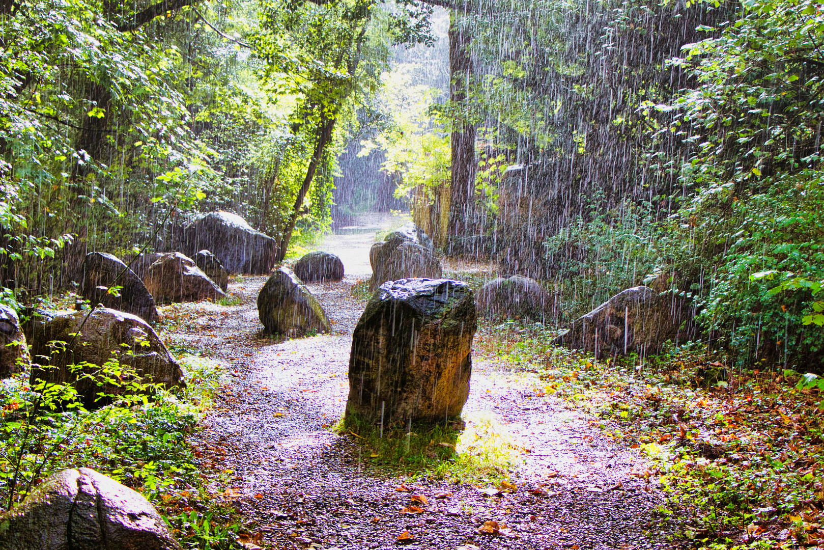 Museumsinsel Hombroich im Regen