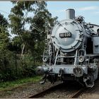 Museumstag im Eisenbahnmuseum Bochum-Dahlhausen September 2016 (14)