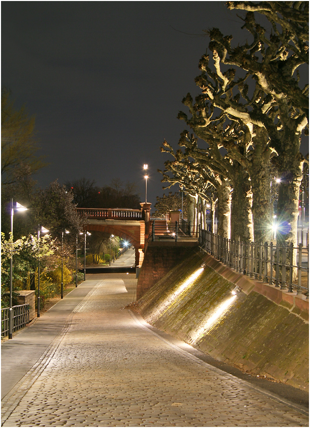 Museumsufer Frankfurt