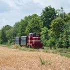 Museumszug mit V 22 beim Haltepunkt Gerlindchen