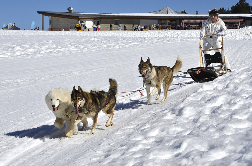 Musher à Beille