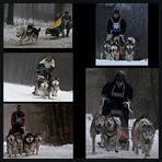 Musher go II