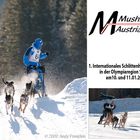 Mushing 2