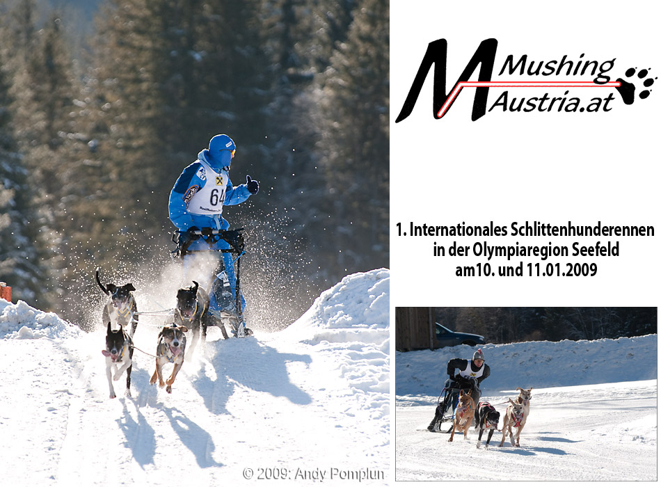 Mushing 2