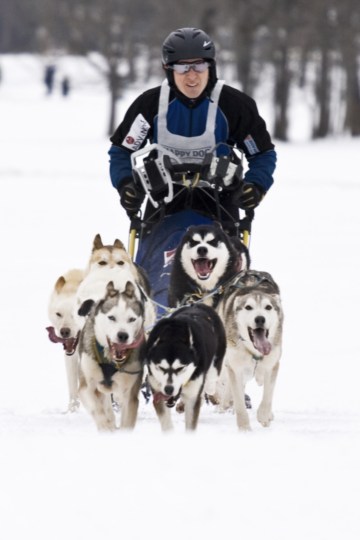 mushing