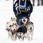 mushing