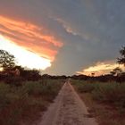 Mushroom cloud