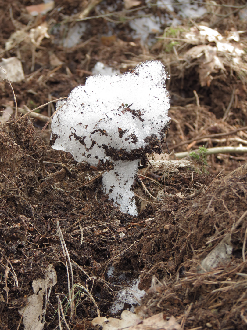 Mushroom of snow