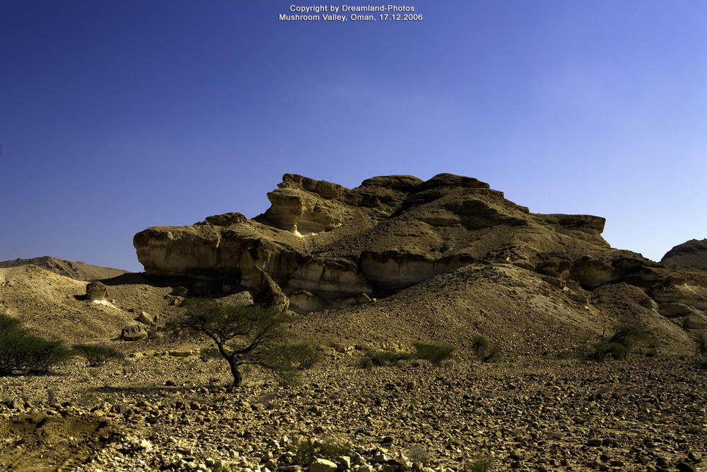 Mushroom Valley in der Steinwüste zwischen Al-Mazari und Al Asfar, Oman 2006