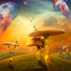 Mushroom-World