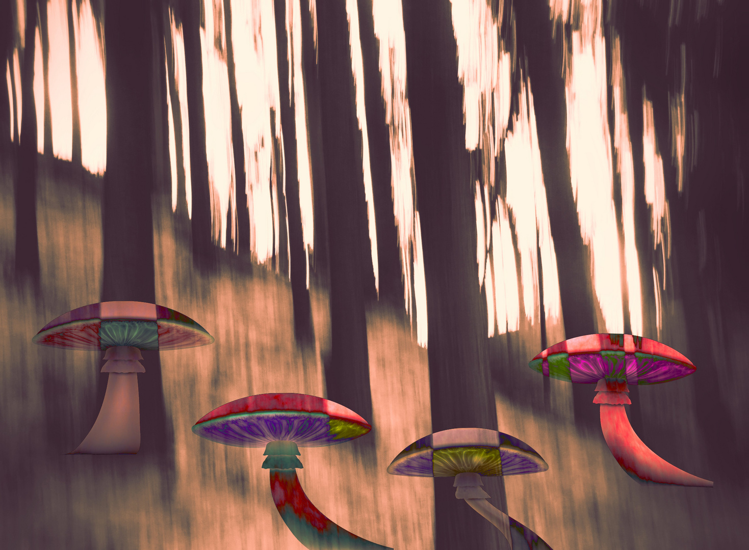 Mushrooms