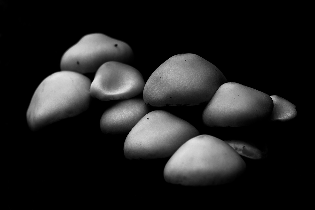 Mushrooms