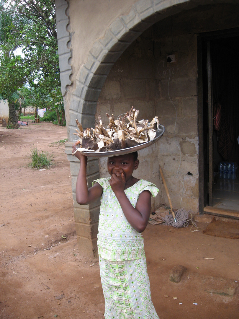 Mushrooms for sale