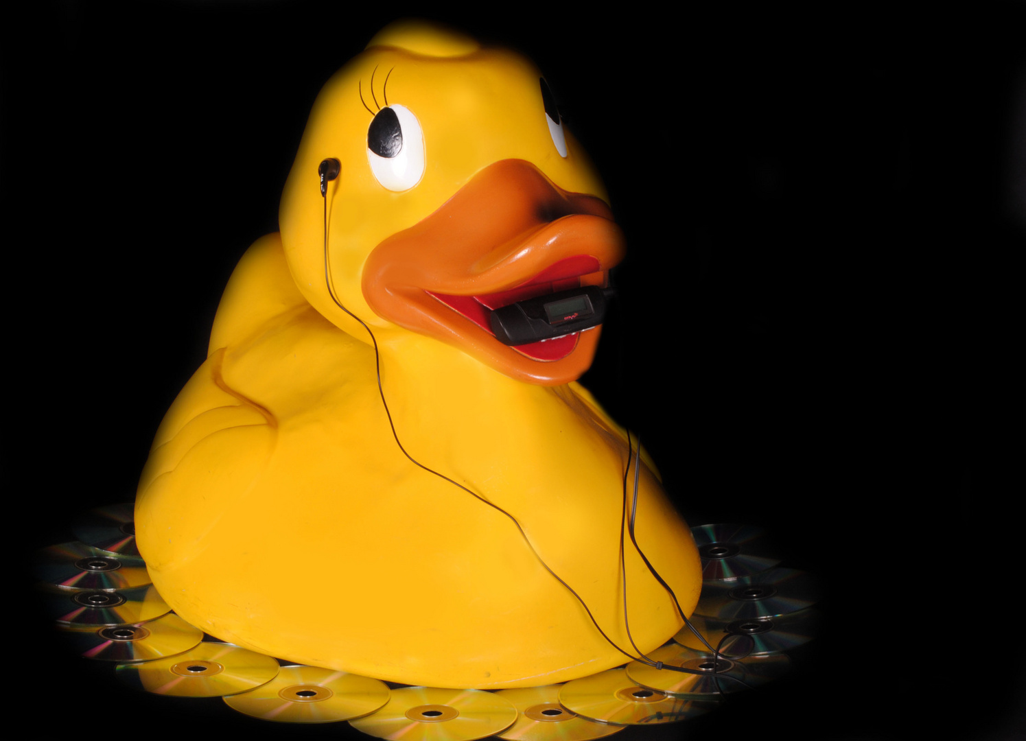 Music Duck Foto & Bild sonstiges, quatsch & fun, youth Bilder auf