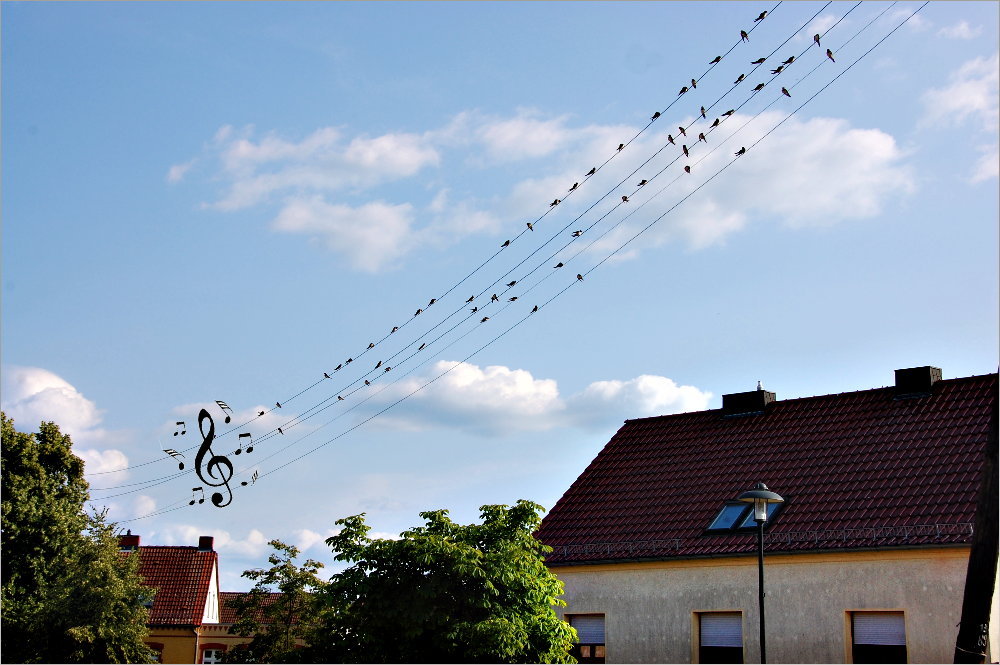 music in the air ...