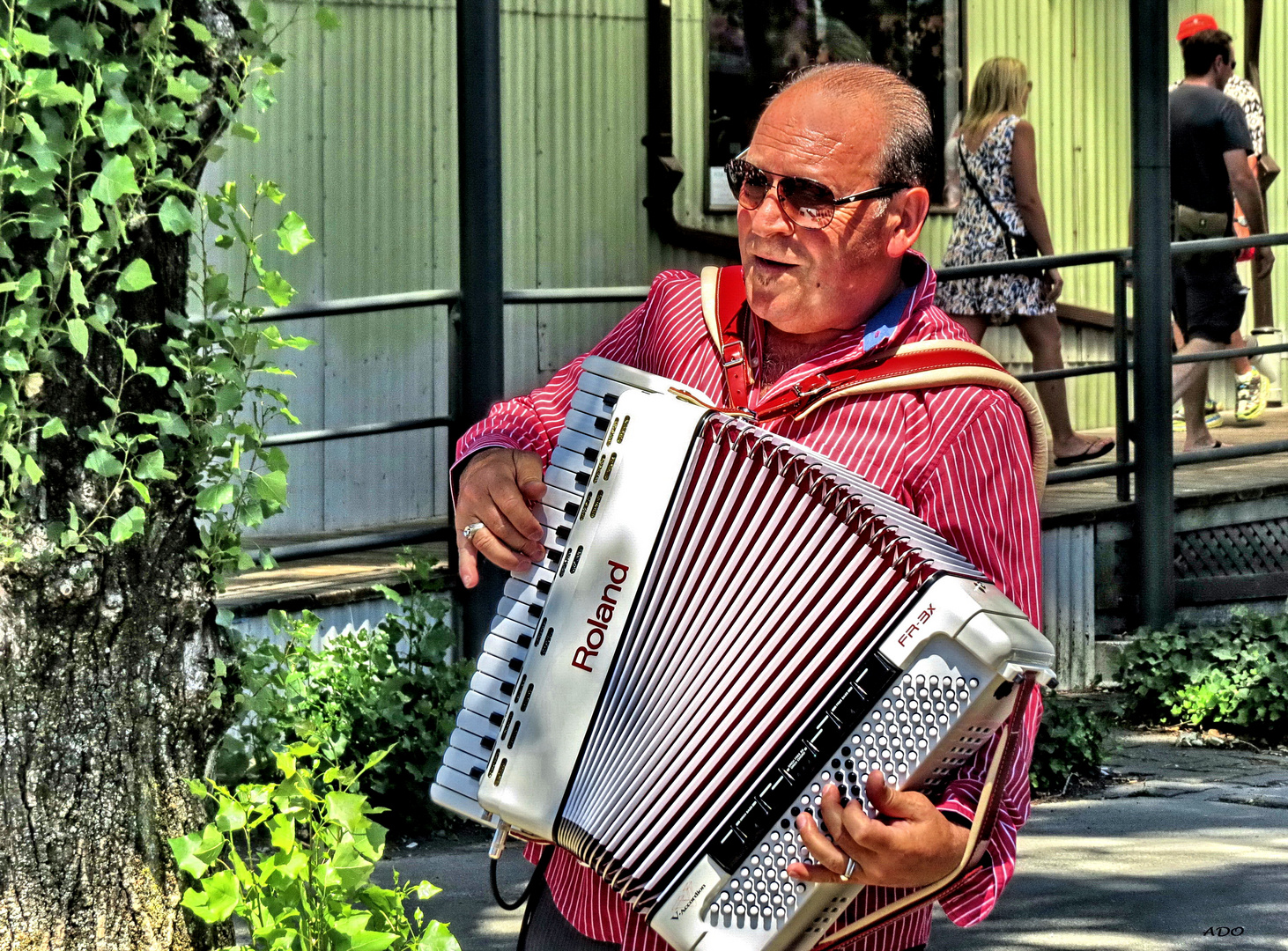 Music on Canada Day  (2)