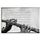 Music School Project - Magic Flute
