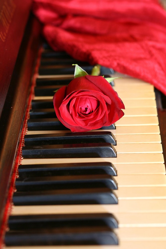 Musica e fiori...