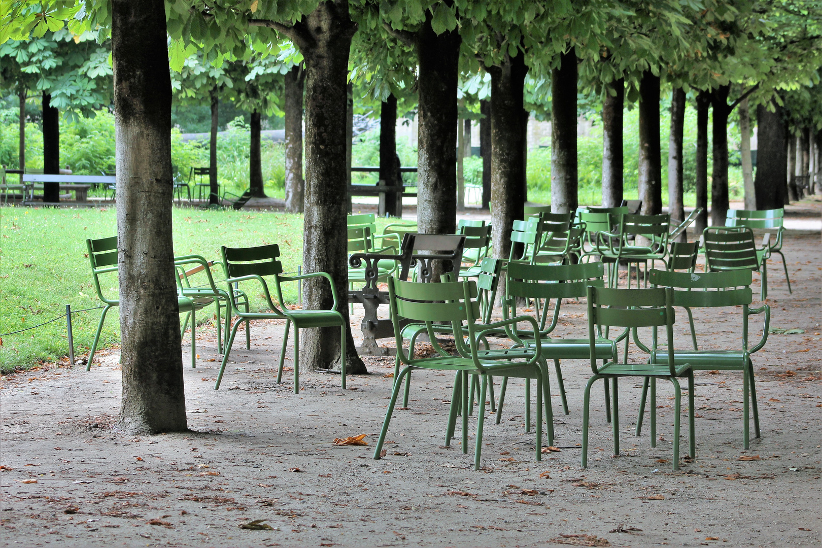 Musical Chairs