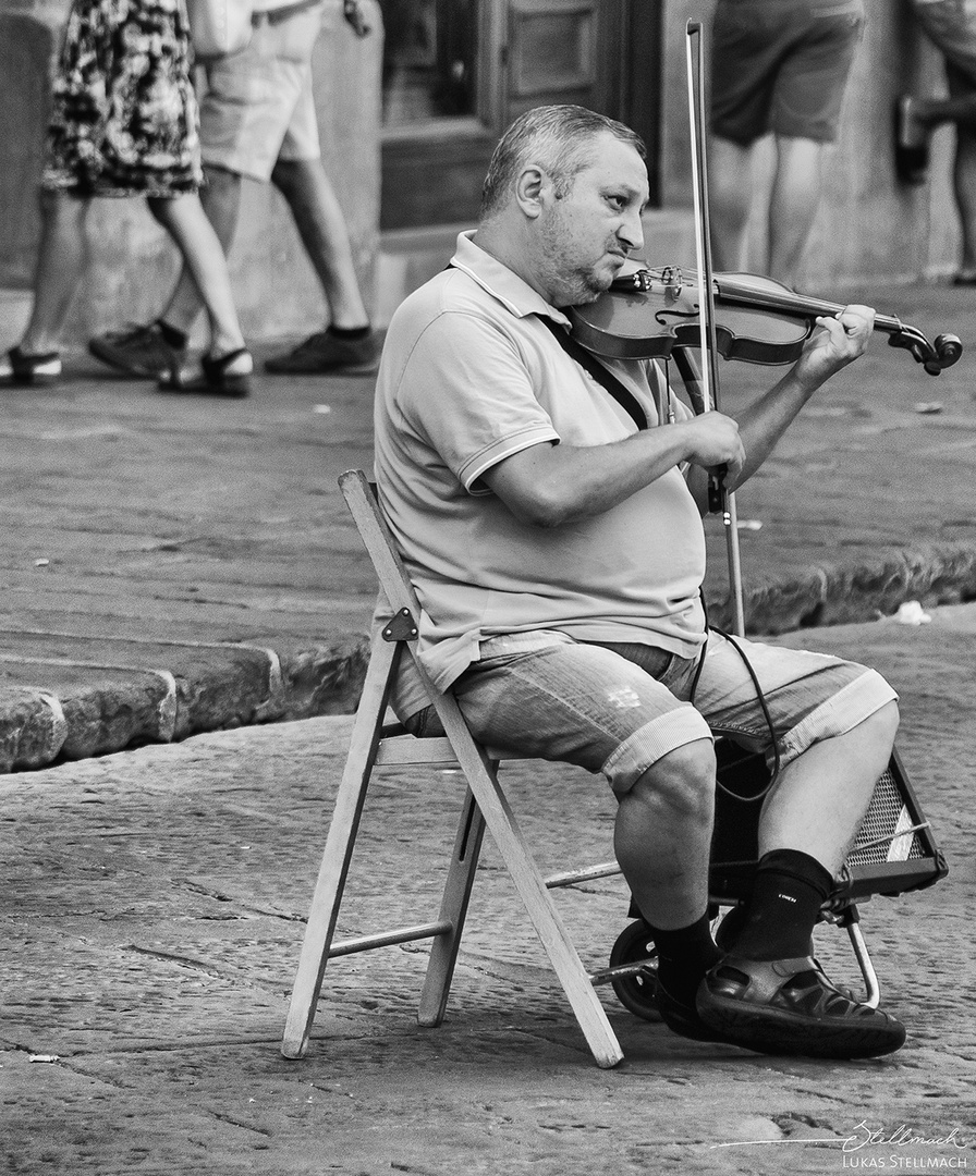 musician in the streets of florence