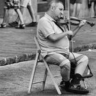 musician in the streets of florence
