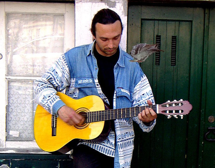 Musician with a shy pigeon:)