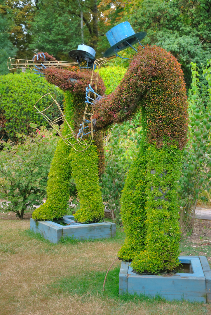 Musiciens en herbe