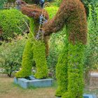 Musiciens en herbe