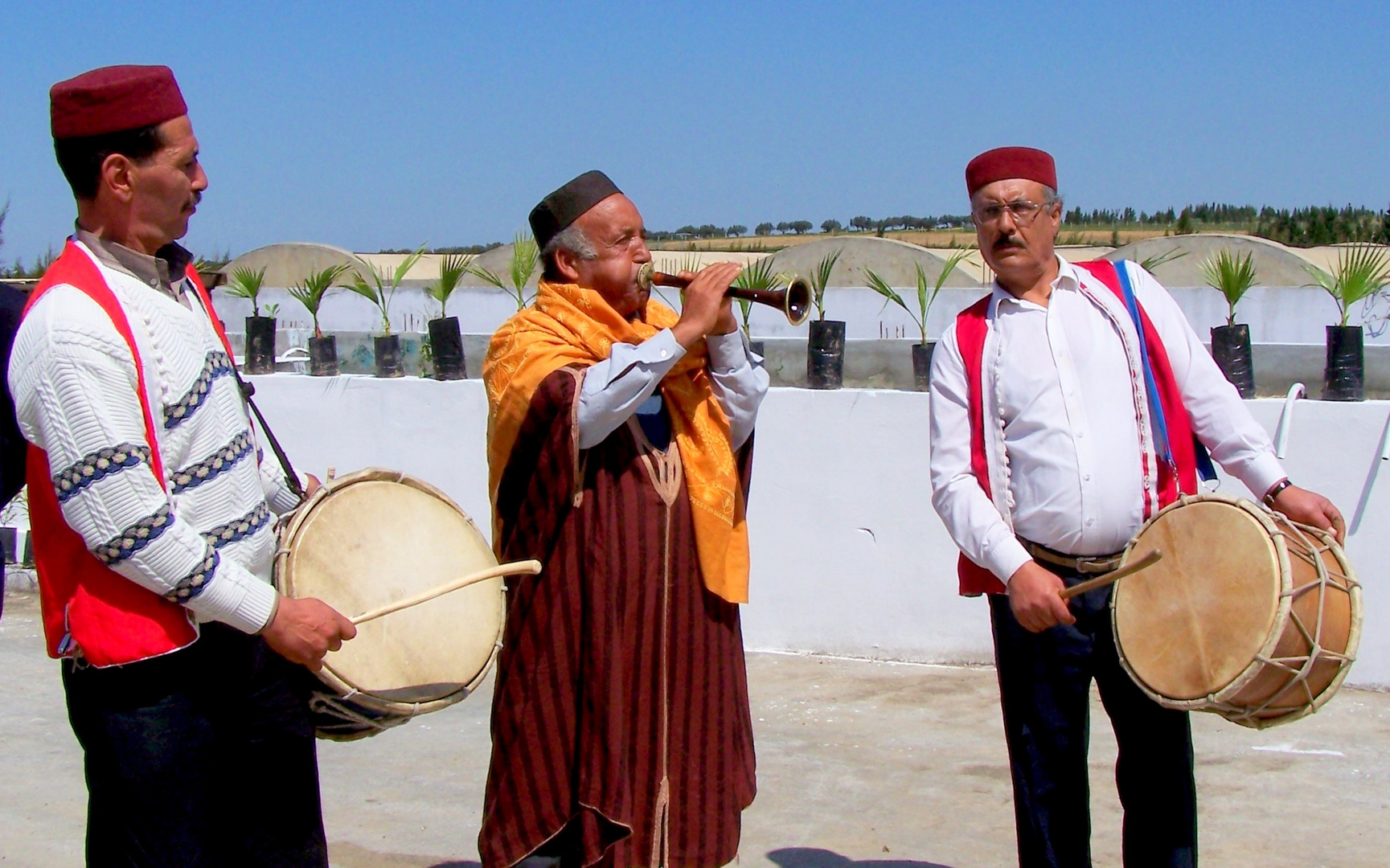 Musiciens tunisiens ...