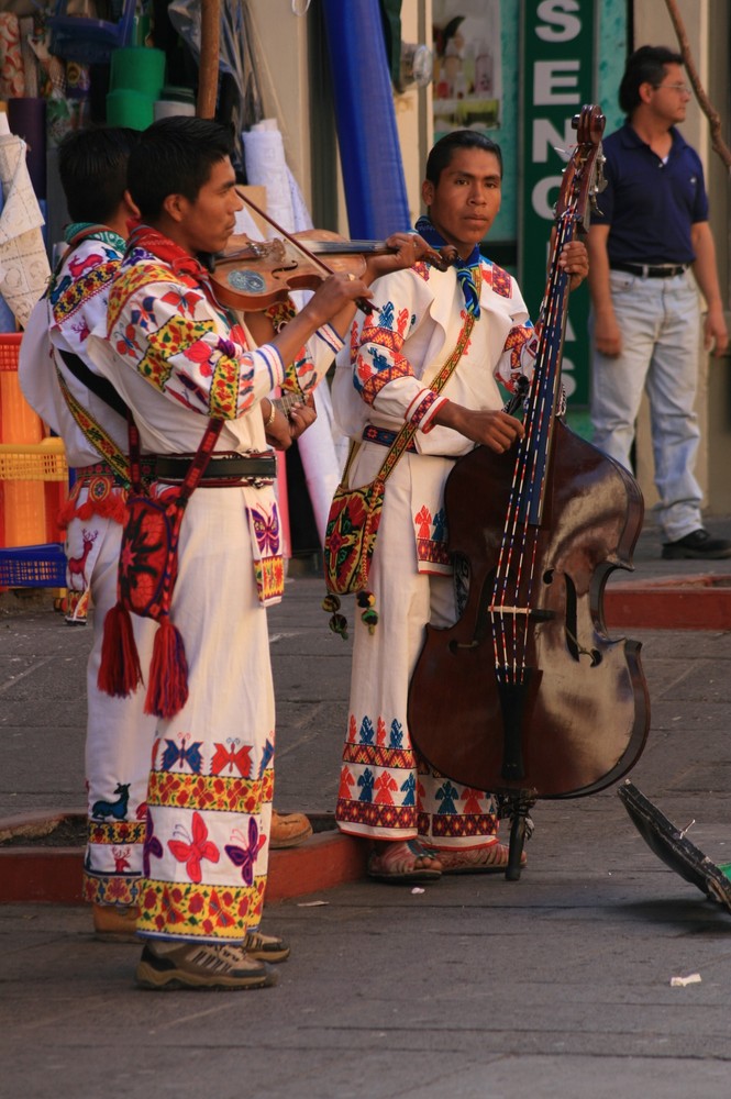 MUSICOS INDIGENAS