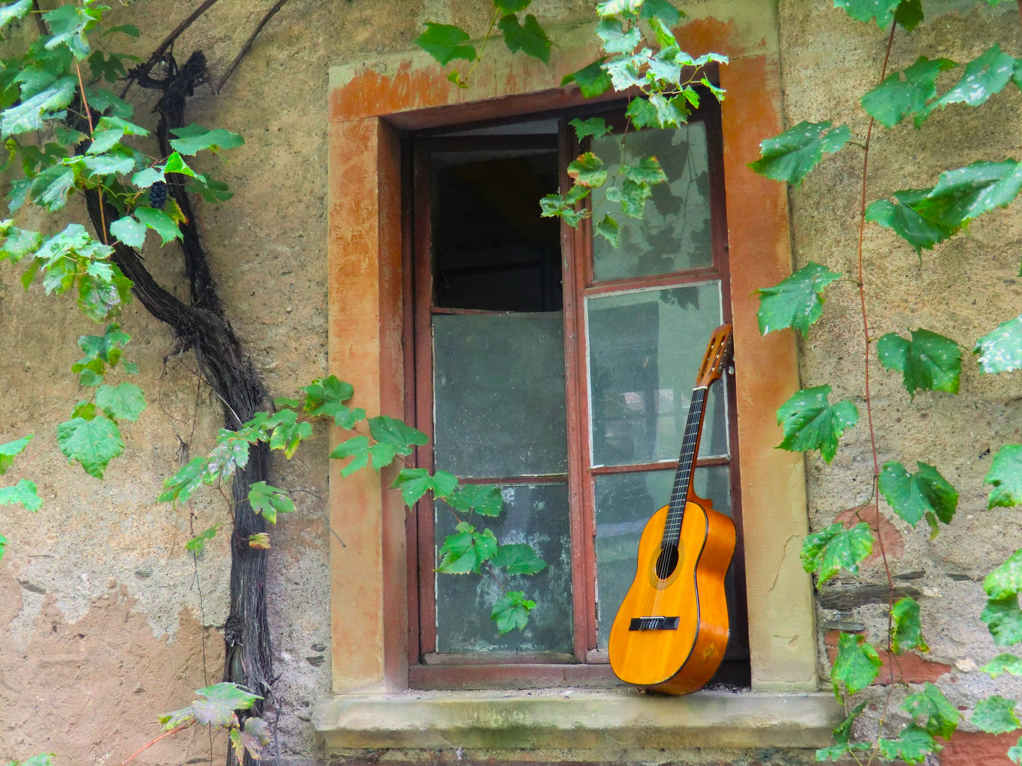 Musik am Fenster