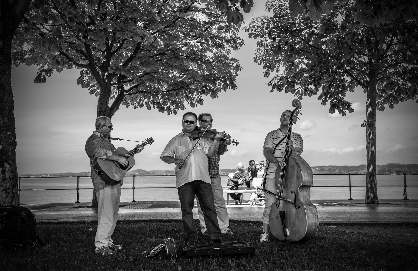 Musik am See ...