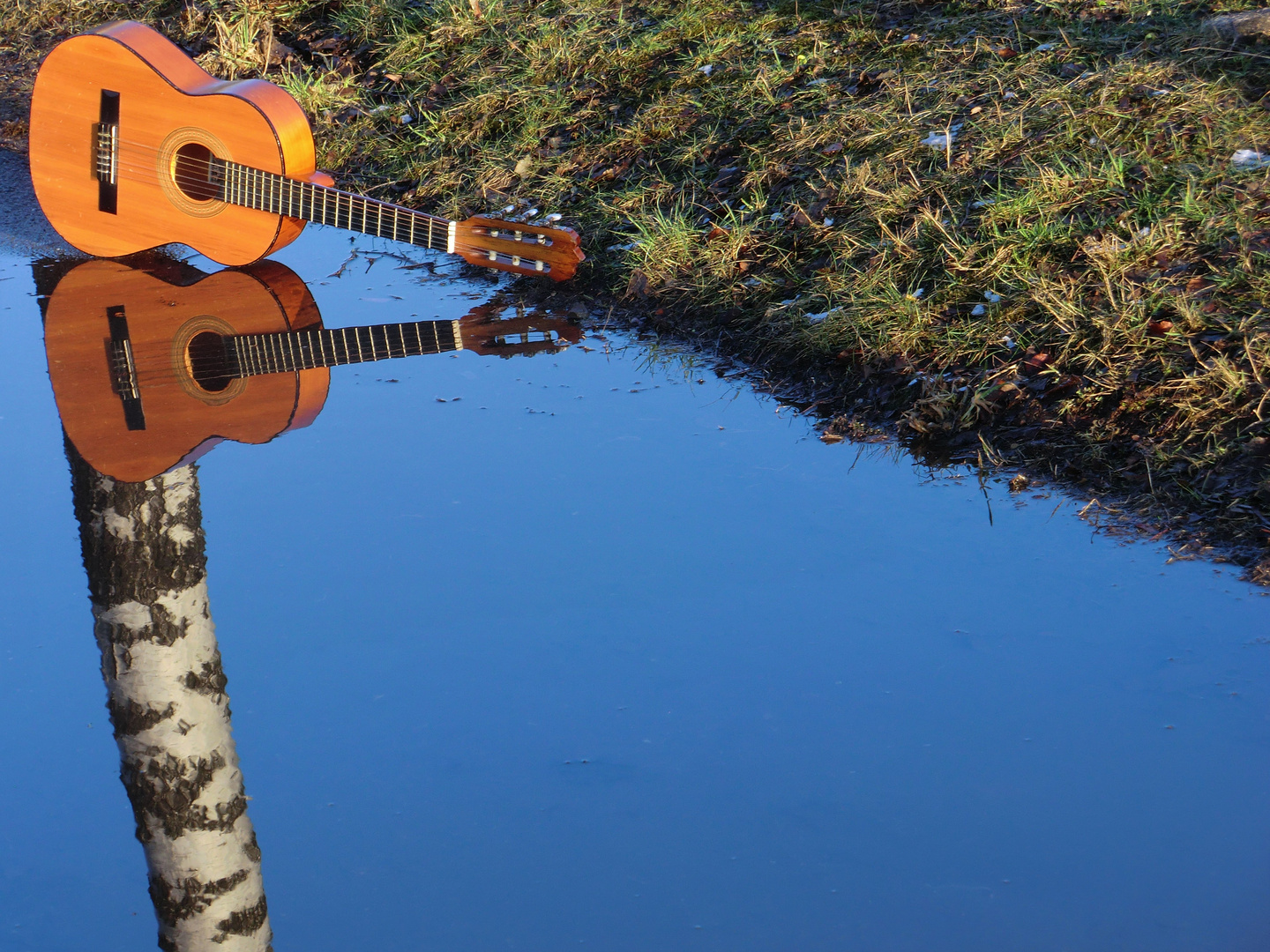 Musik am Stiel