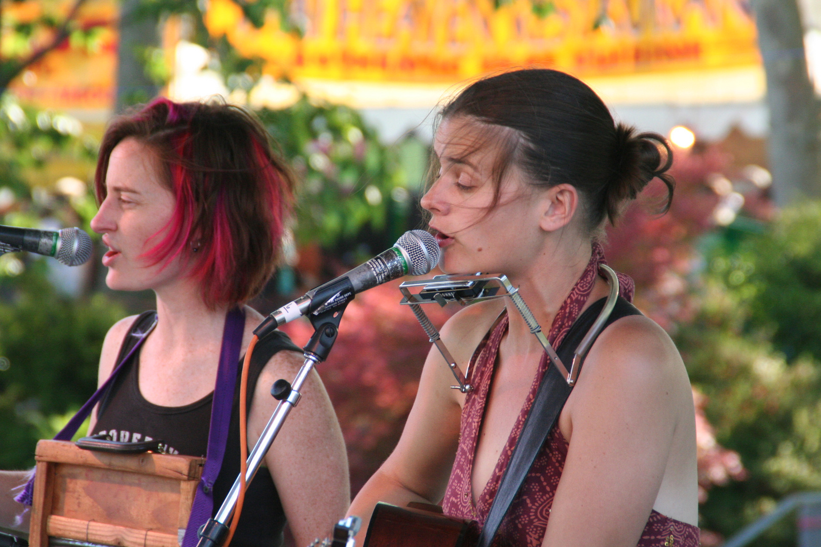 Musik Folk Duo FOLKLIFE/ USA +99FOTOS Ü857K