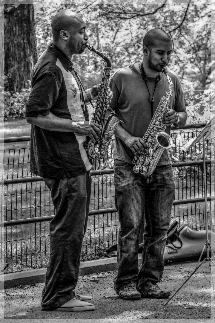 Musik im Central Park