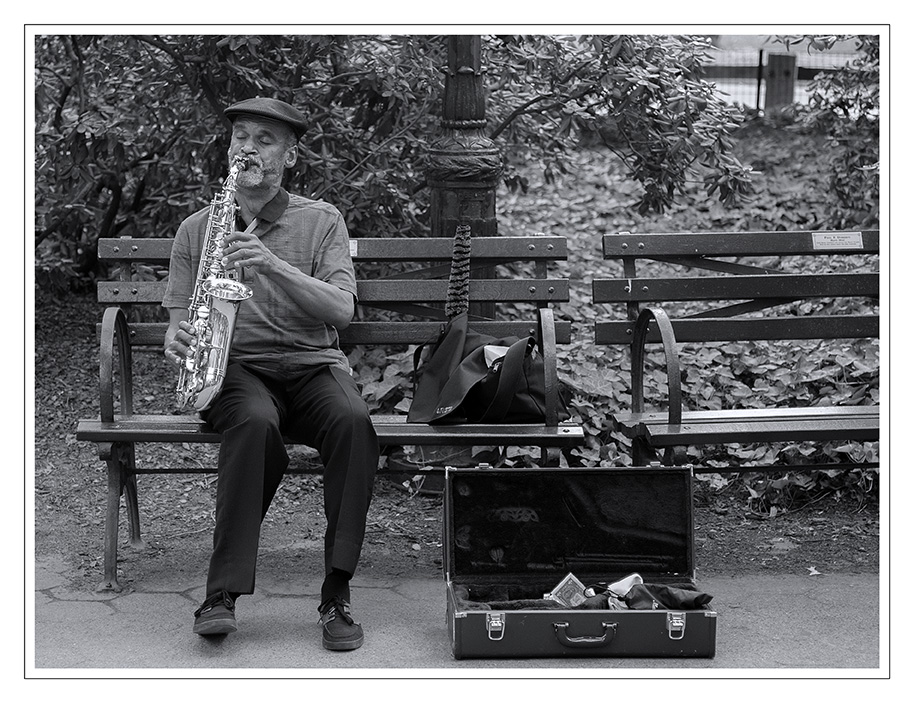 Musik im Central Park