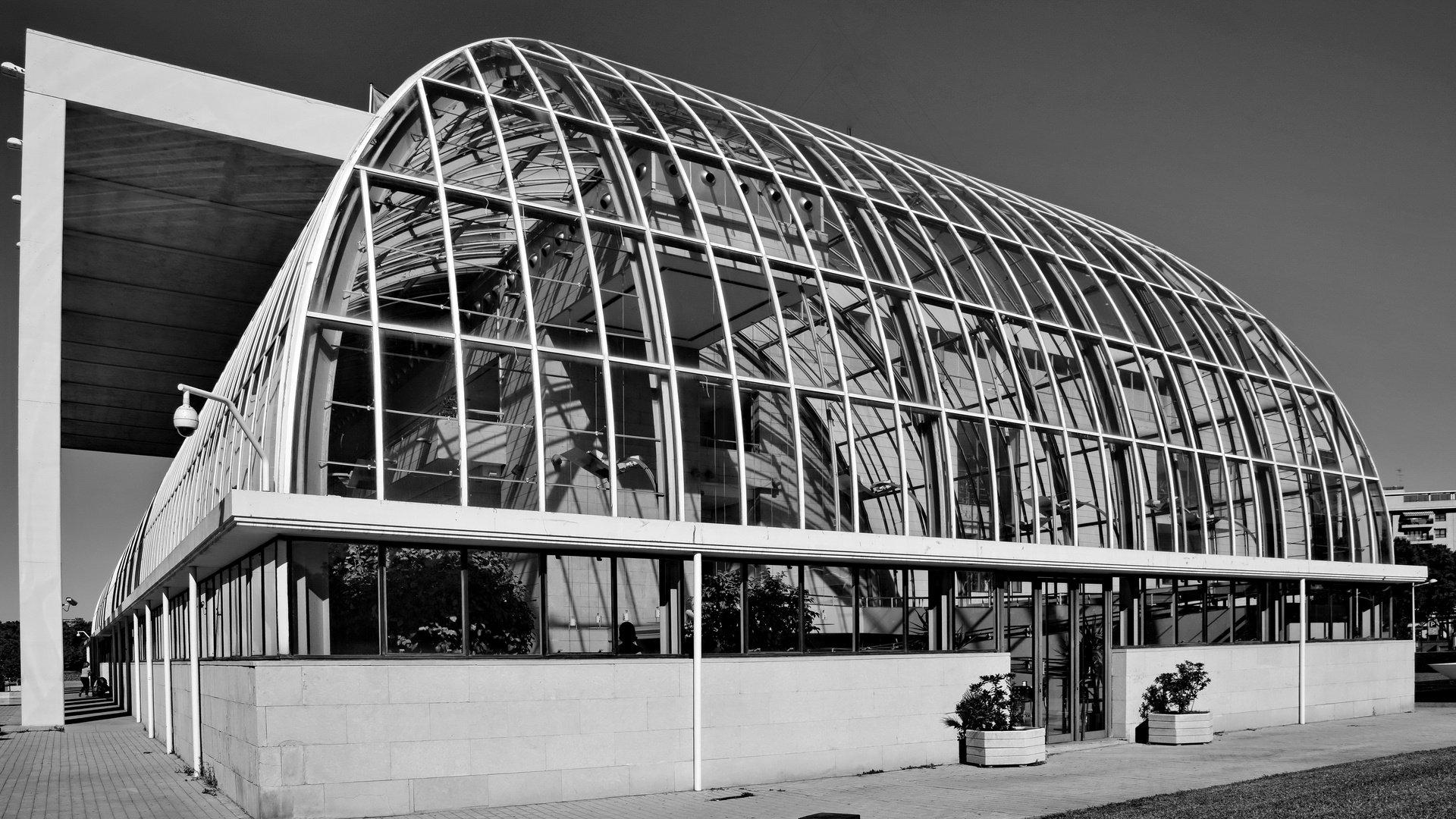 Musik im Glashaus