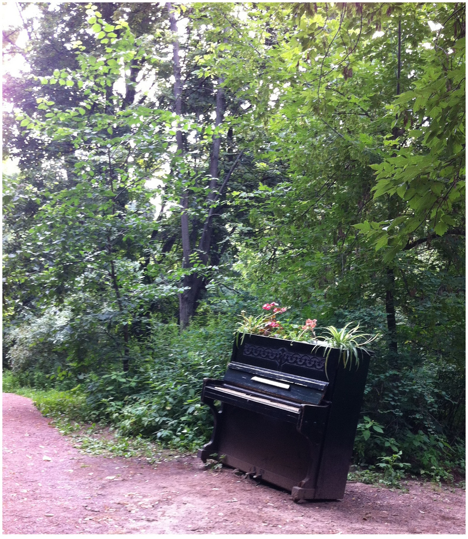 Musik im Gorkij Park