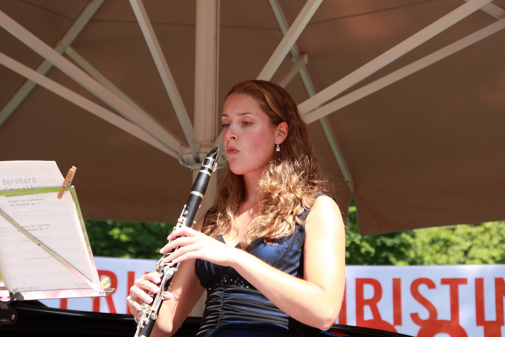 Musik im Park