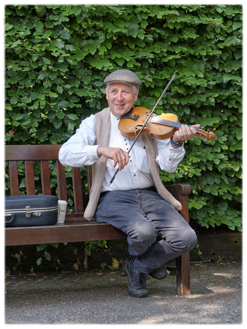 Musik im Schlosspark 