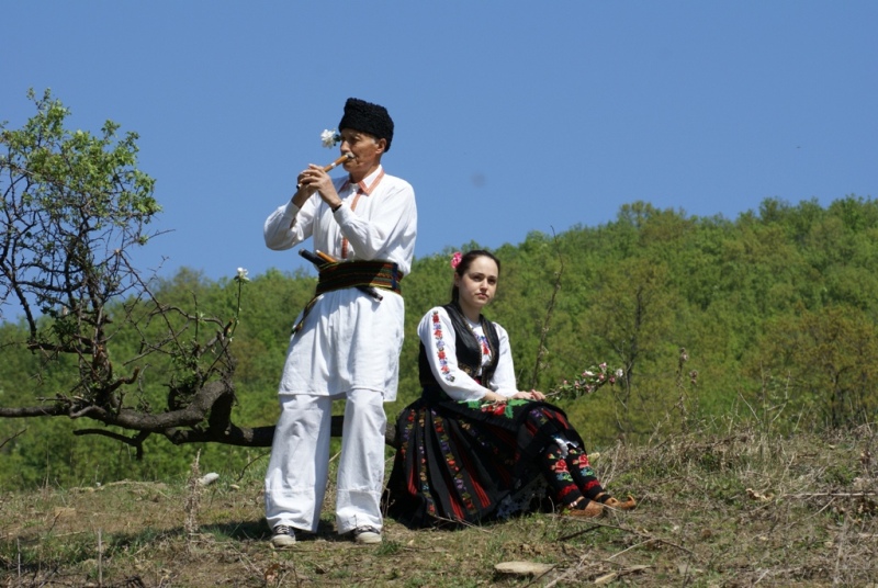 Musik in die Natur