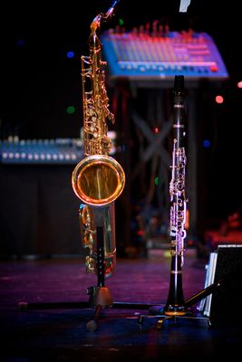 Musik ist eine Form der Kunst, die es uns erlaubt, eingesperrte Emotionen zu befreien.