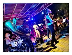 Musik Pferd Prag p30-25-507-col +Text +Fotos