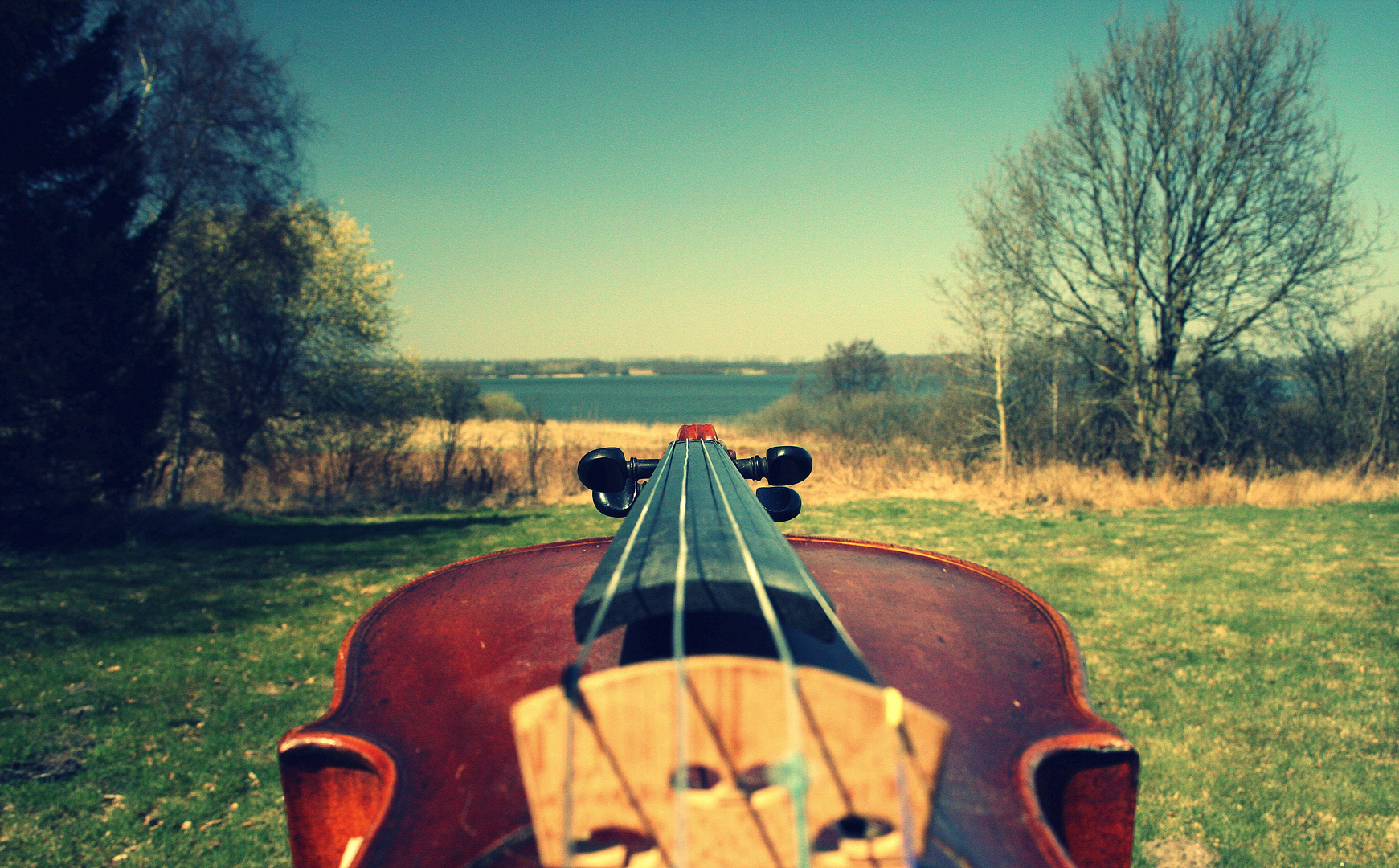 Musik und Rhythmus finden ihren Weg zu den geheimsten Plätzen der Seele.